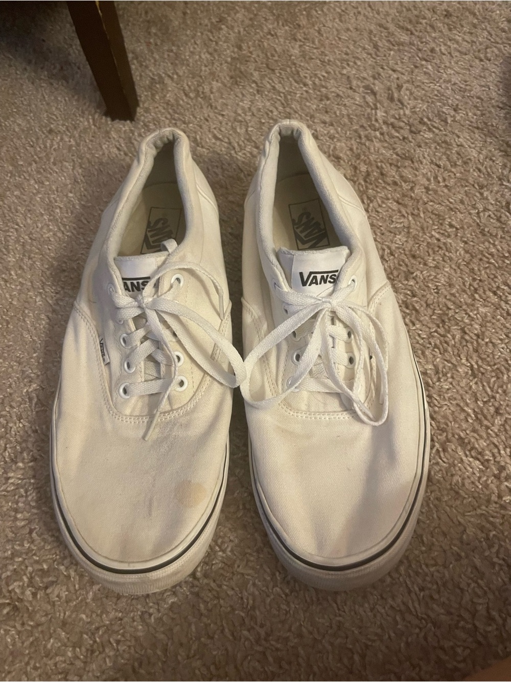 Vans White Low-Top Canvas Sneakers